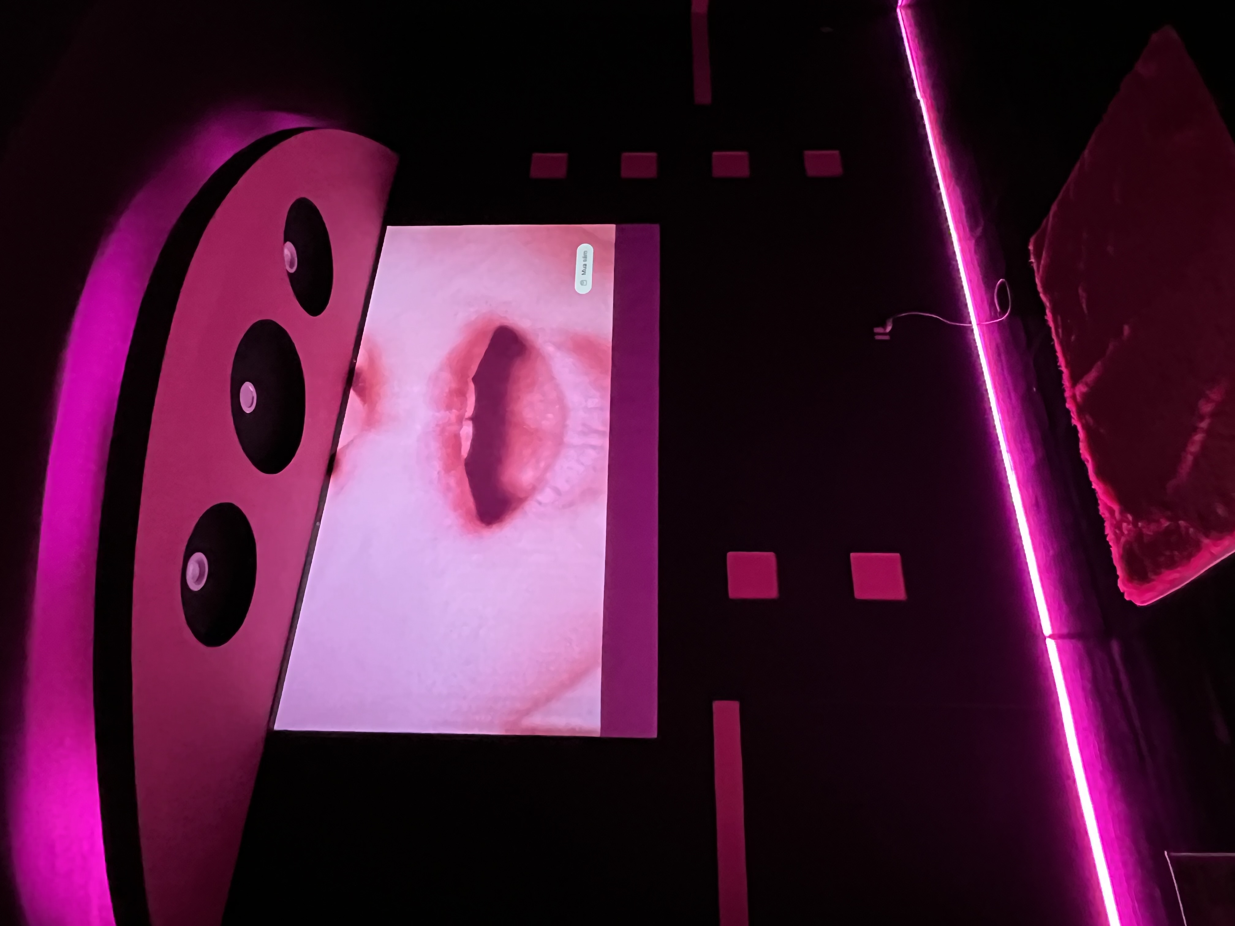 Phòng BlackPink
